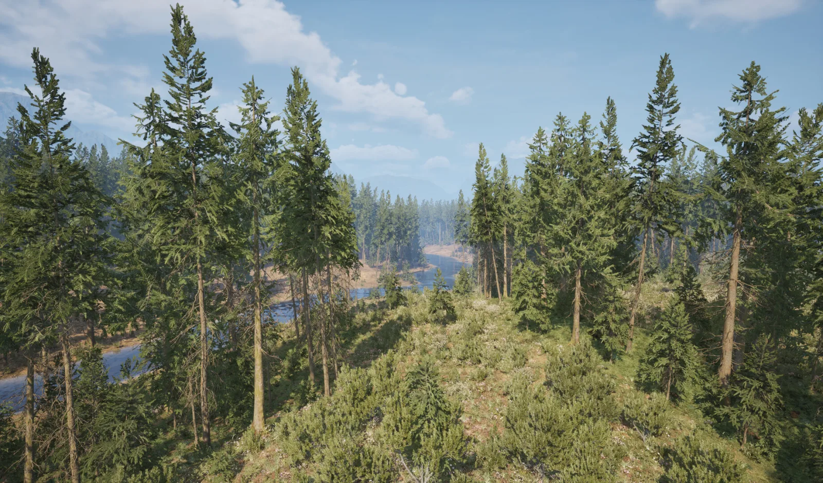 A bright overlook of pine forest with a lake winding through the Leminsgale District